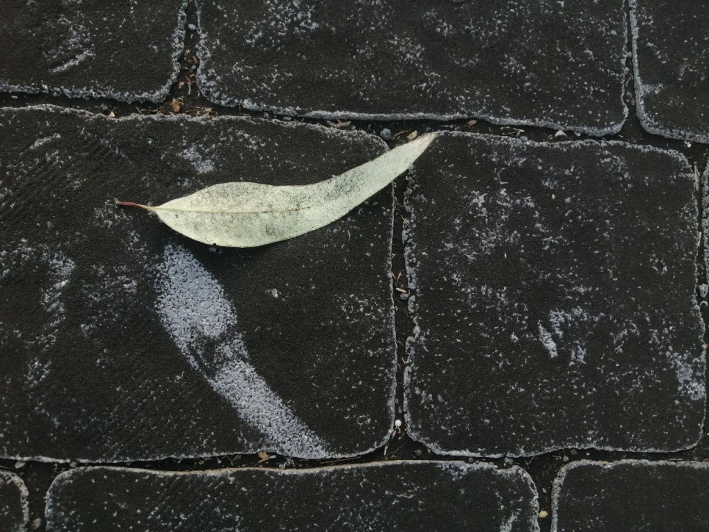 Ferragosto- Szicília 4.&nbsp;rész