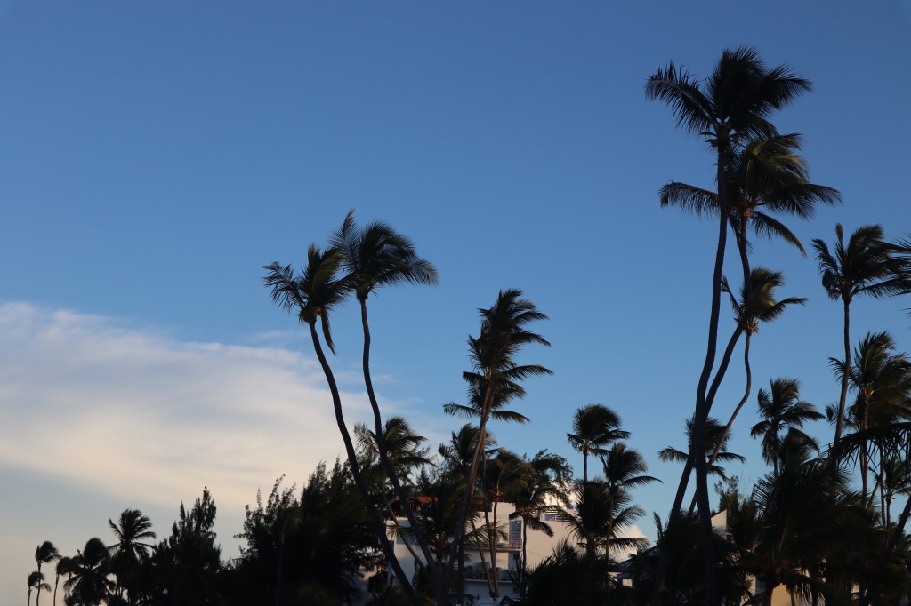 Hideg esőtől a forró tengerpartig: Budapestről&nbsp;Dominikára