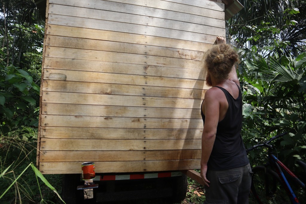 Meló az amazóniai földön&nbsp;#1