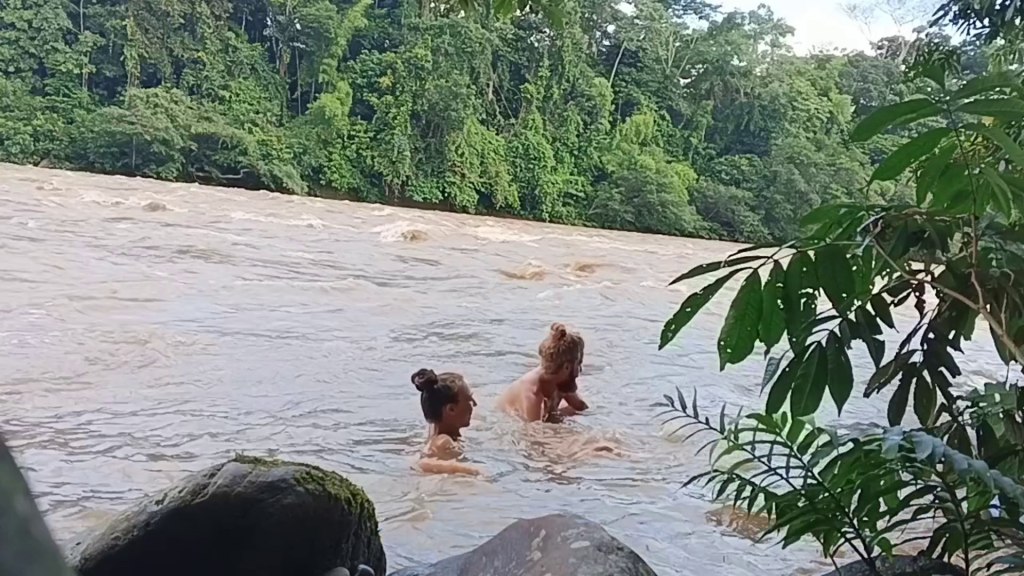 Civilizáció vs Vadon