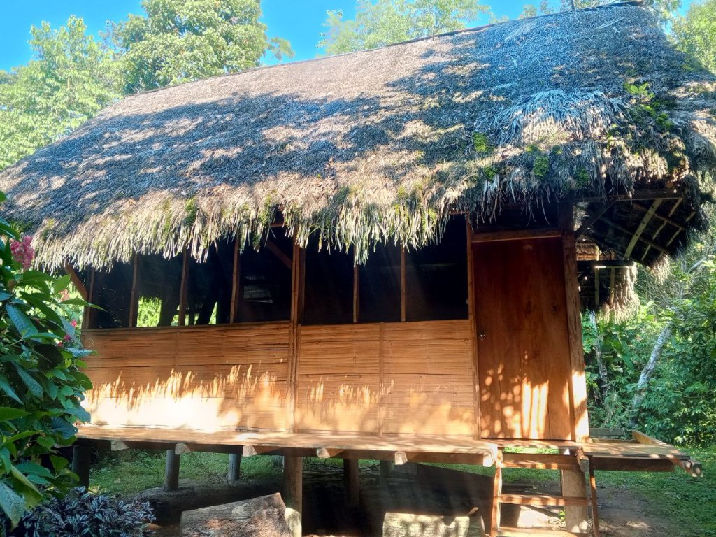 Álomház a dzsungelben