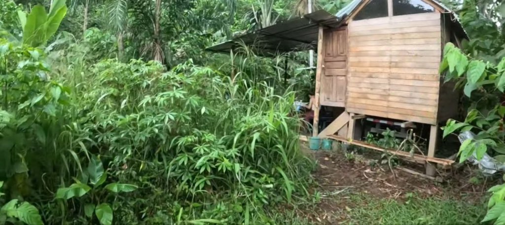 Amazónia napi vlog – Munka a Földön és az első&nbsp;tábortűz